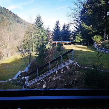 Haus Schwarzwaldblick Villa Hornberg Eksteriør bilde