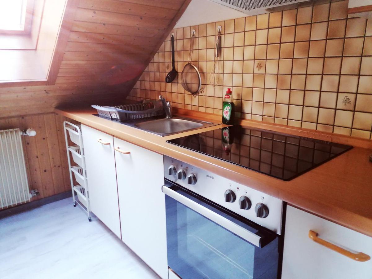 Haus Schwarzwaldblick Villa Hornberg Eksteriør bilde