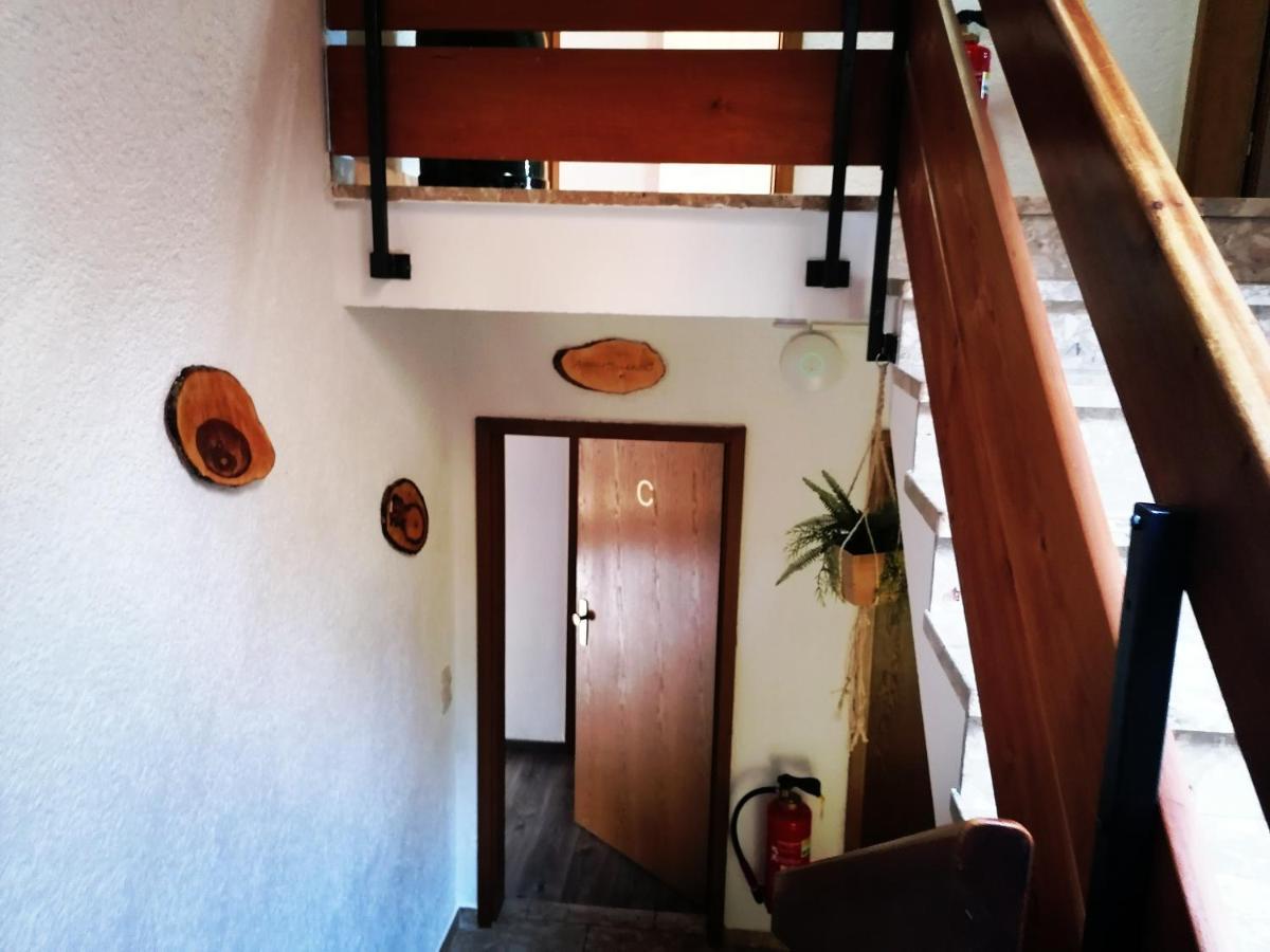 Haus Schwarzwaldblick Villa Hornberg Eksteriør bilde