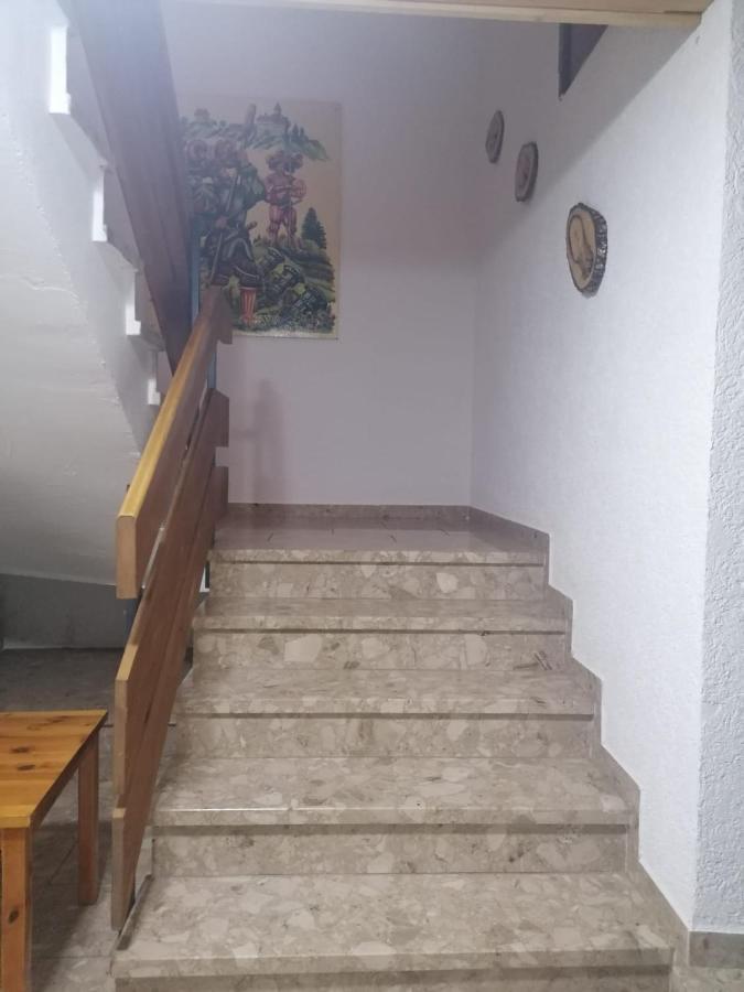 Haus Schwarzwaldblick Villa Hornberg Eksteriør bilde